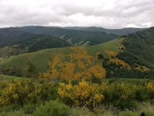 France-Auvergne-Lozère Ride